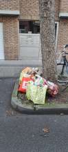 Bild zu gemeldetem Anliegen vom *2025-03-23 15:29:00