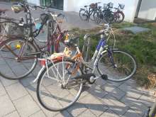 Bild zu gemeldetem Anliegen vom *2025-03-31 06:33:04