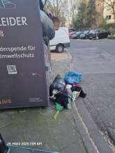 Bild zu gemeldetem Anliegen vom *2025-03-29 06:29:41
