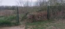 Bild zu gemeldetem Anliegen vom *2025-03-31 09:27:22