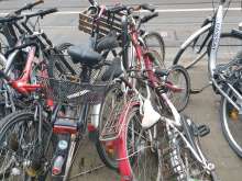 Bild zu gemeldetem Anliegen vom *2025-03-31 12:04:07