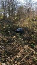 Bild zu gemeldetem Anliegen vom *2025-03-20 12:29:36