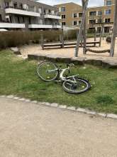 Bild zu gemeldetem Anliegen vom *2025-03-27 15:30:25