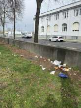Bild zu gemeldetem Anliegen vom *2025-03-22 14:26:59