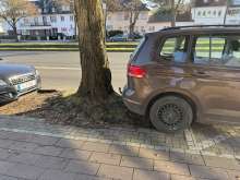 Bild zu gemeldetem Anliegen vom *2025-03-02 16:03:41