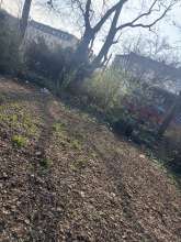 Bild zu gemeldetem Anliegen vom *2025-03-16 15:07:31