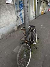 Bild zu gemeldetem Anliegen vom *2025-03-31 09:27:22