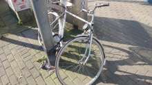 Bild zu gemeldetem Anliegen vom *2025-03-28 12:34:36