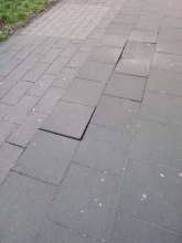 pberghaus@gmail.com