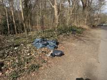 Bild zu gemeldetem Anliegen vom *2025-03-17 12:18:57
