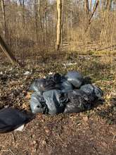 Müll am Robinienweg 