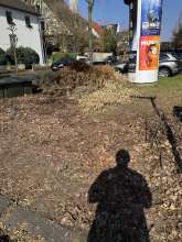 Bild zu gemeldetem Anliegen vom *2025-03-09 09:27:07