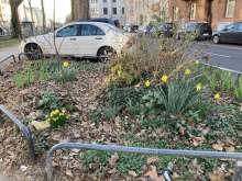 Bild zu gemeldetem Anliegen vom *2025-03-17 17:50:52