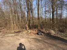 Bild zu gemeldetem Anliegen vom *2025-03-09 16:37:56