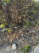 Bild zu gemeldetem Anliegen vom *2025-03-18 15:27:22