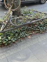 Bild zu gemeldetem Anliegen vom *2025-03-29 06:29:41