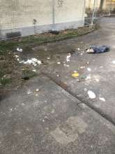 Bild zu gemeldetem Anliegen vom *2025-03-19 15:27:34