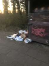 Bild zu gemeldetem Anliegen vom *2025-03-19 19:02:33