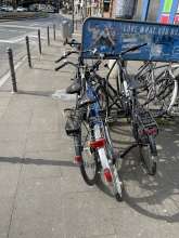 Bild zu gemeldetem Anliegen vom *2025-03-29 10:21:29
