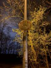 Bild zu gemeldetem Anliegen vom *2025-03-26 22:43:18