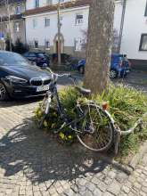 Bild zu gemeldetem Anliegen vom *2025-03-28 12:34:36