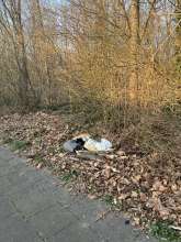 Bild zu gemeldetem Anliegen vom *2025-03-08 15:30:18