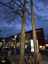 Bild zu gemeldetem Anliegen vom *2025-03-24 19:21:37