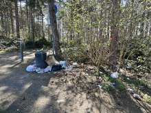 Bild zu gemeldetem Anliegen vom *2025-03-20 12:29:36