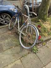 Bild zu gemeldetem Anliegen vom *2025-03-25 15:47:18