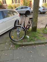Bild zu gemeldetem Anliegen vom *2025-03-28 09:30:01