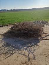 Bild zu gemeldetem Anliegen vom *2025-03-19 06:27:58