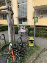 Bild zu gemeldetem Anliegen vom *2025-03-22 13:21:14