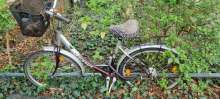 Bild zu gemeldetem Anliegen vom *2025-03-31 14:55:07
