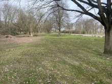 Bild zu gemeldetem Anliegen vom *2025-03-22 09:31:08