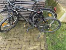 Bild zu gemeldetem Anliegen vom *2025-03-23 12:29:49