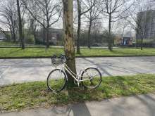 Bild zu gemeldetem Anliegen vom *2025-03-25 12:27:48