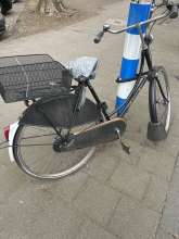 Bild zu gemeldetem Anliegen vom *2025-03-30 11:01:27