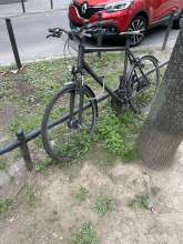 Bild zu gemeldetem Anliegen vom *2025-03-30 11:03:26