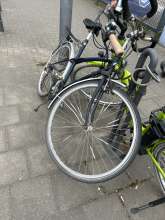 Bild zu gemeldetem Anliegen vom *2025-03-30 11:08:41
