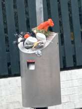 Bild zu gemeldetem Anliegen vom *2025-03-30 13:06:00