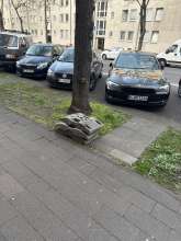 Bild zu gemeldetem Anliegen vom *2025-03-31 19:47:59
