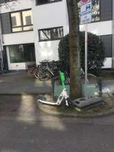 Bild zu gemeldetem Anliegen vom *2025-03-19 13:27:25