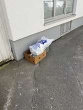 Bild zu gemeldetem Anliegen vom *2025-03-19 12:33:43