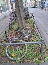 Schrottrad liegt in der Baumscheibe, darum herum noch mehrere nicht fahrbereitee Anliegen vom *2025-03-30 09:32:16