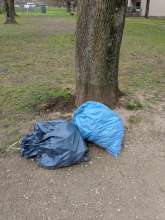Bild zu gemeldetem Anliegen vom *2025-04-03 12:32:24