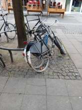 Bild zu gemeldetem Anliegen vom *2025-04-02 15:39:42