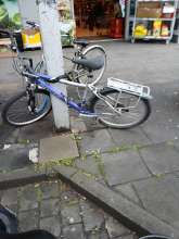 Bild zu gemeldetem Anliegen vom *2025-04-26 08:30:27