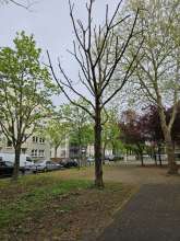 Bild zu gemeldetem Anliegen vom *2025-04-13 16:26:14