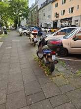 Bild zu gemeldetem Anliegen vom *2025-04-25 18:23:18