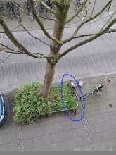 Bild zu gemeldetem Anliegen vom *2025-04-01 09:31:58